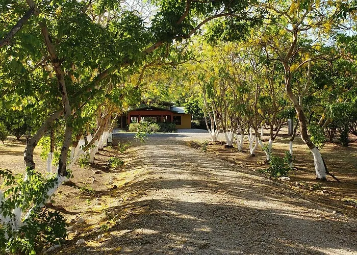 Hacienda Del Sol *